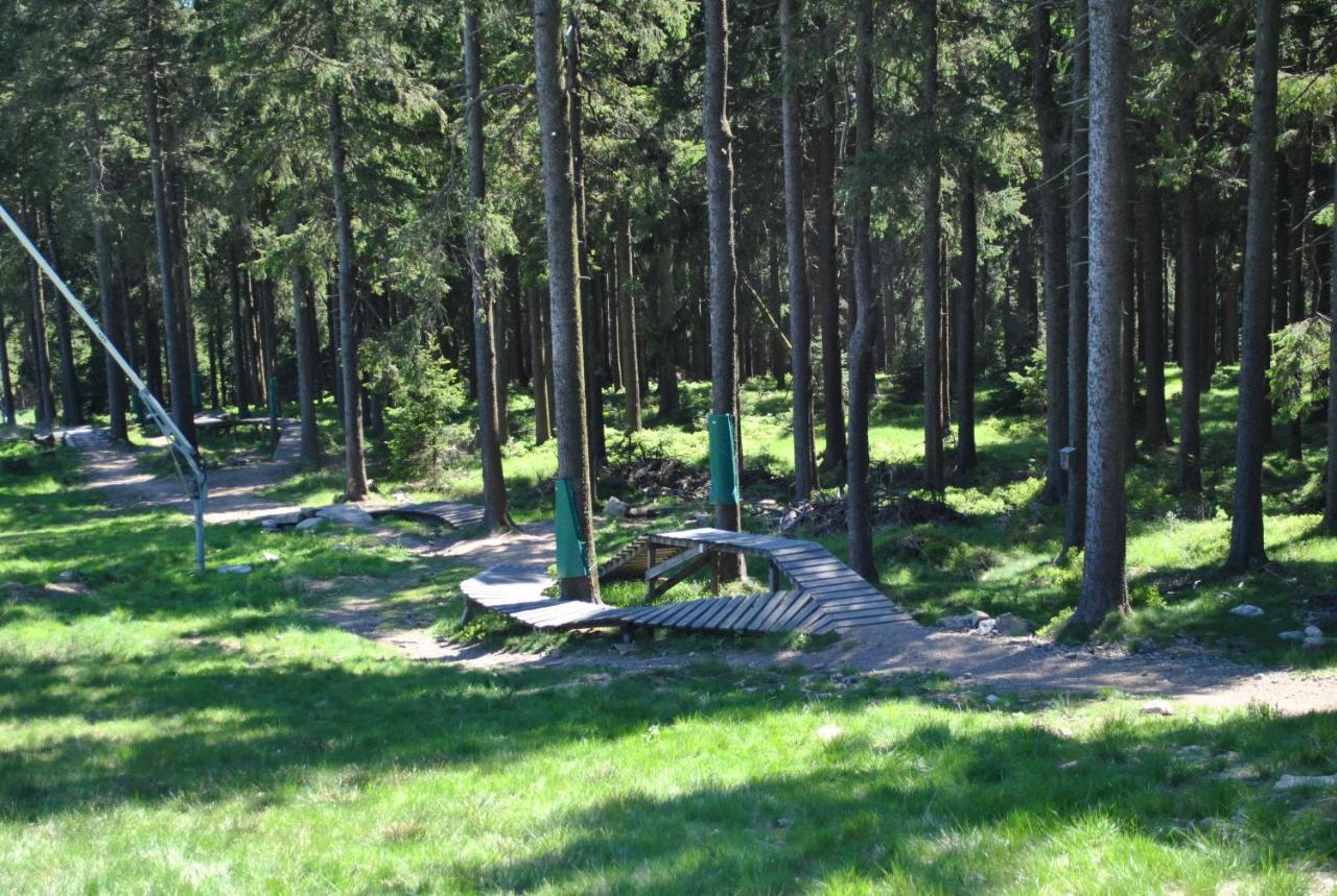 Harz-Rose Lejlighed Braunlage Eksteriør billede