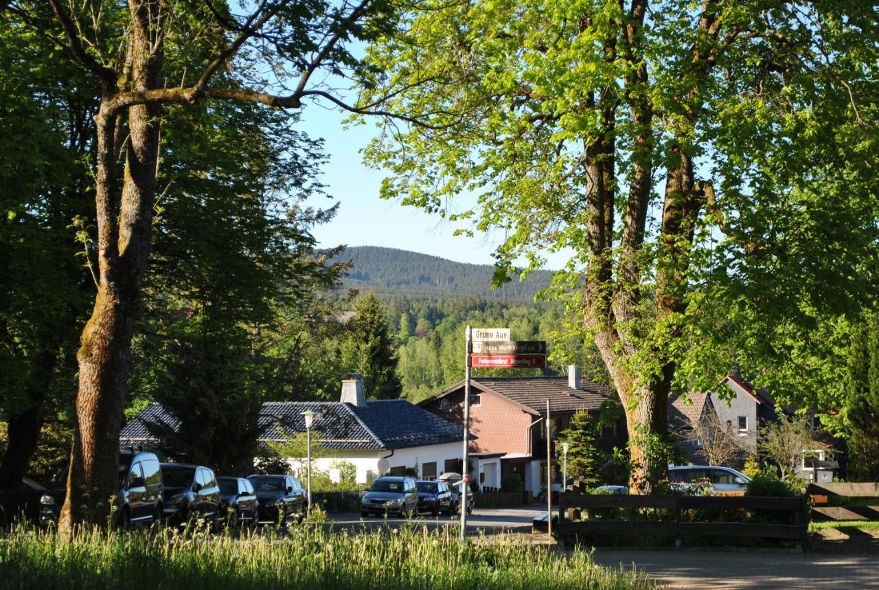 Harz-Rose Lejlighed Braunlage Eksteriør billede