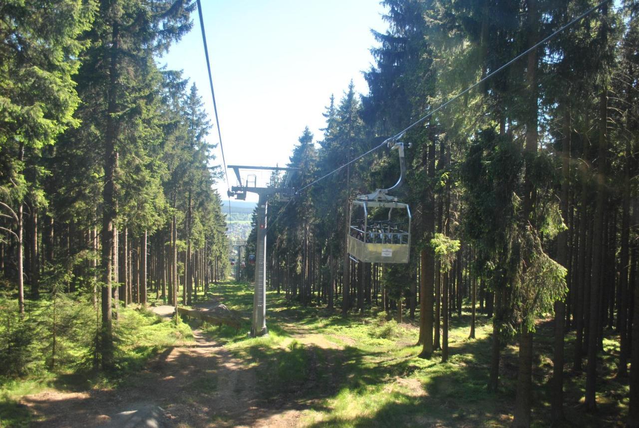 Harz-Rose Lejlighed Braunlage Eksteriør billede