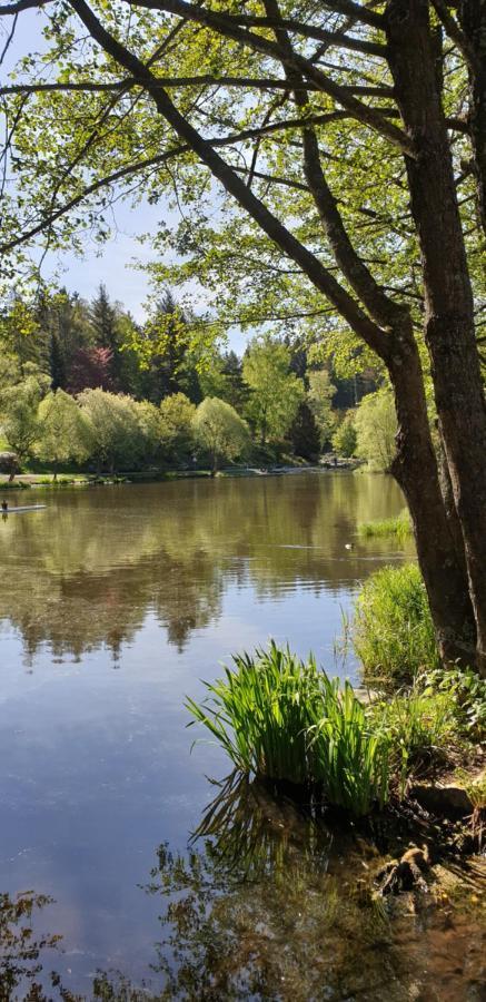 Harz-Rose Lejlighed Braunlage Eksteriør billede