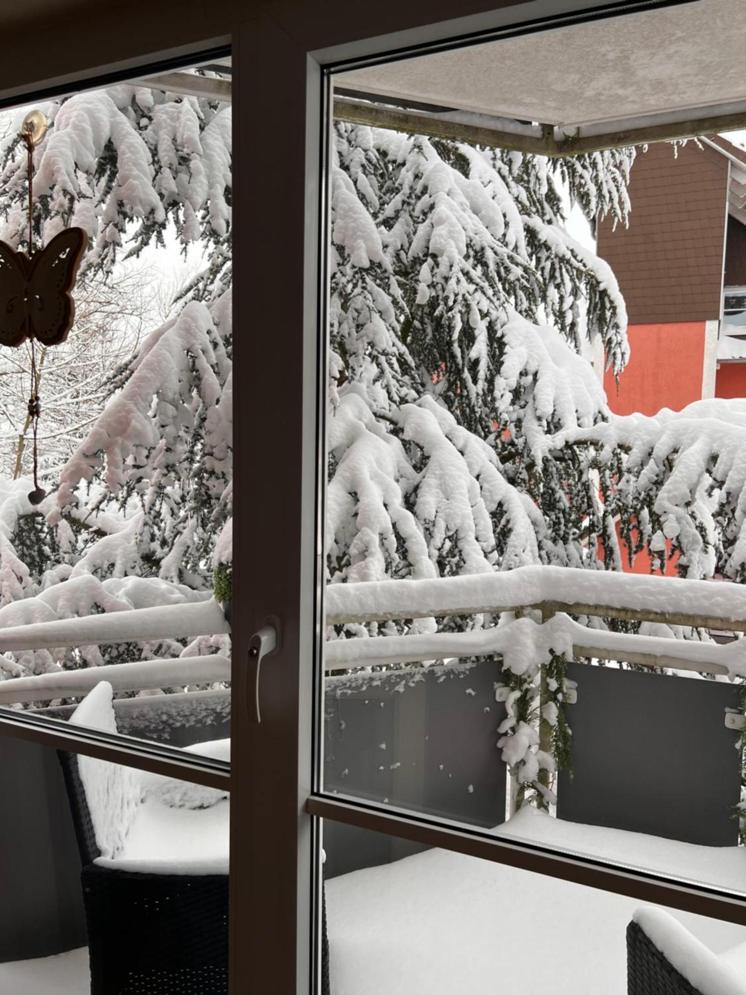 Harz-Rose Lejlighed Braunlage Eksteriør billede