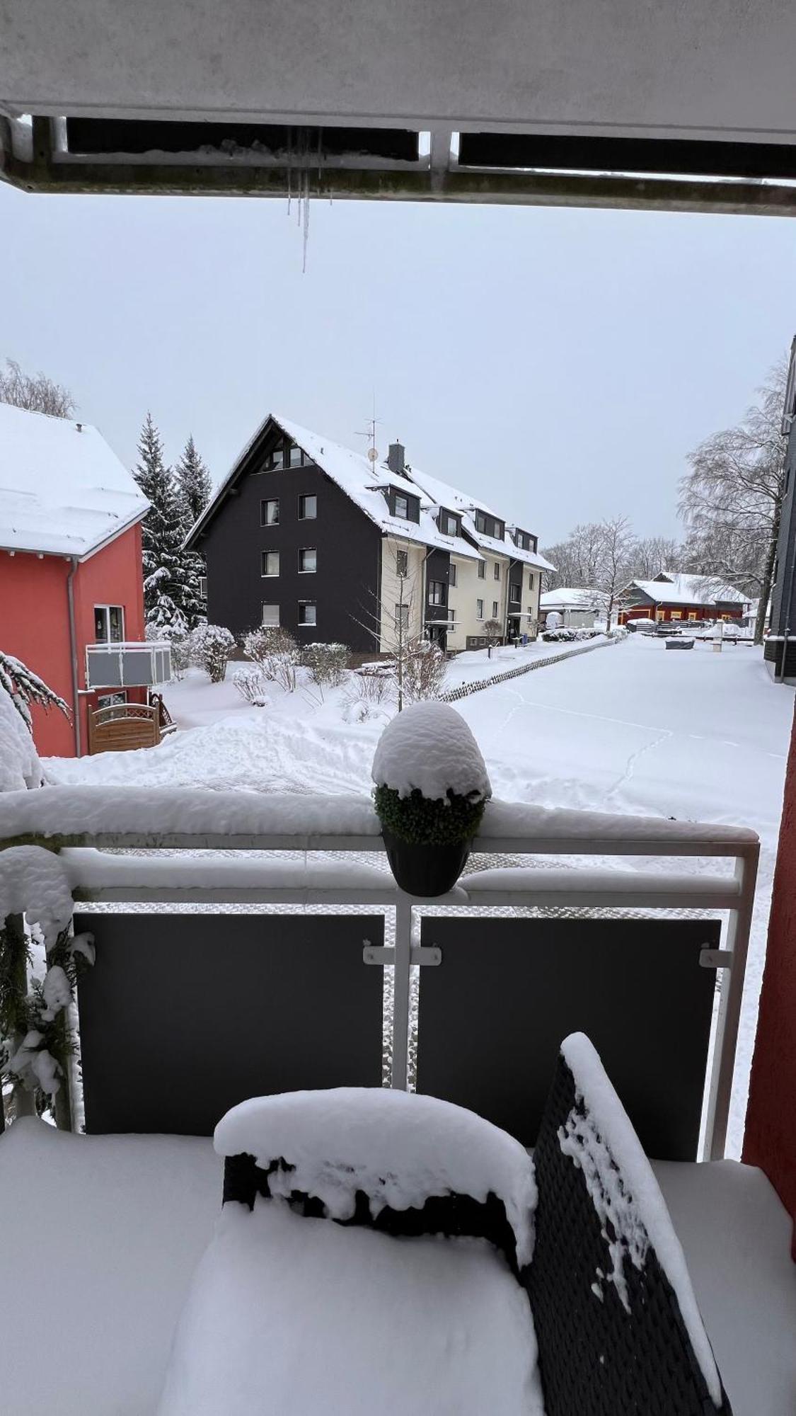 Harz-Rose Lejlighed Braunlage Eksteriør billede